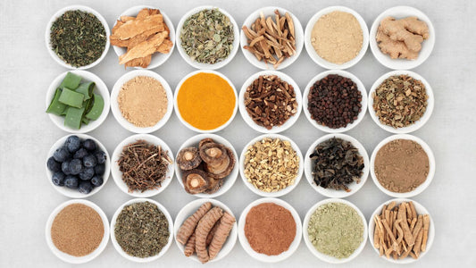 6 Antioxidants to Know: Your Guide to Boosting Fertility Preconception