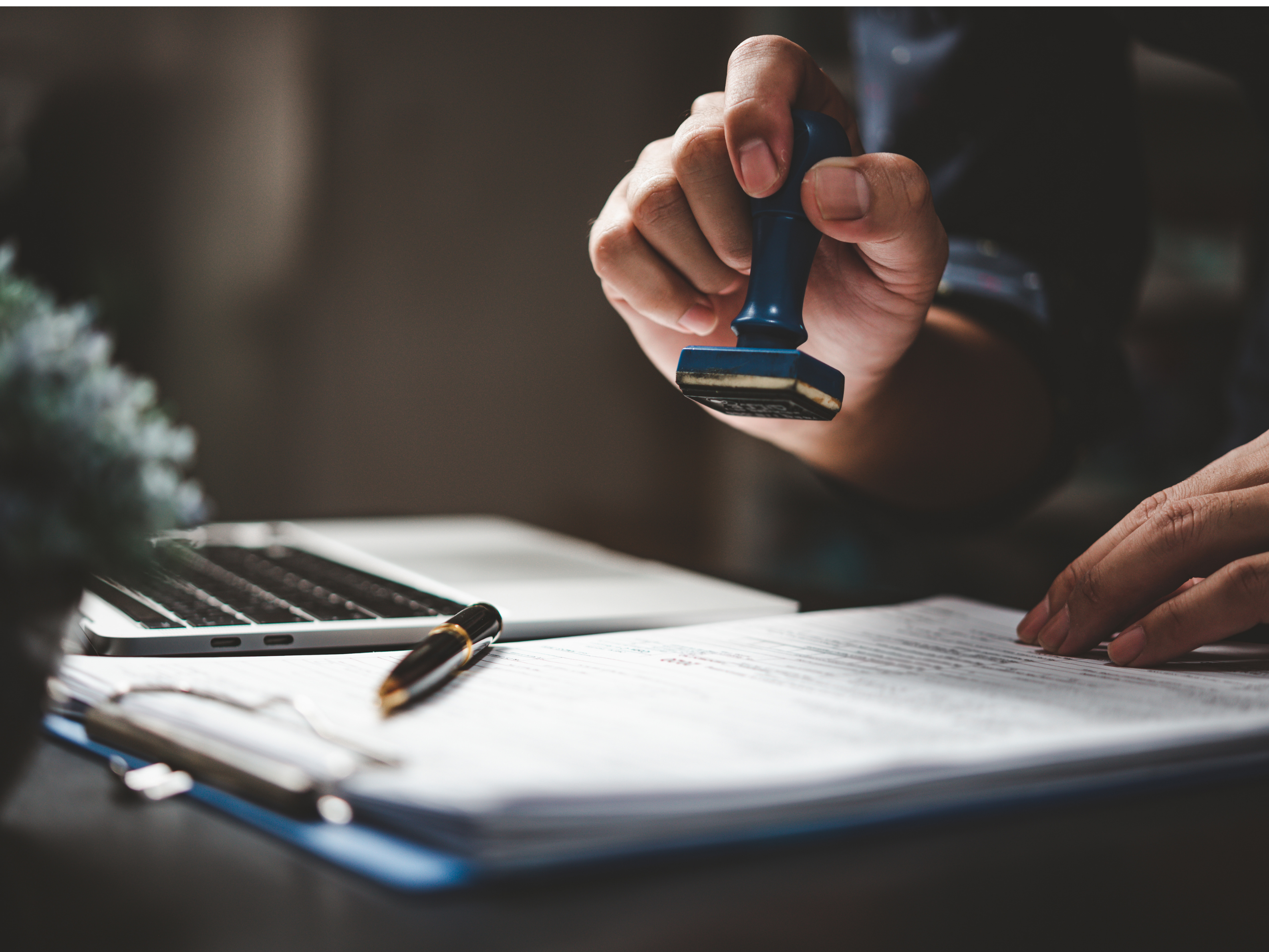 The Certification Paradox: Why We Choose Transparency Over Badges