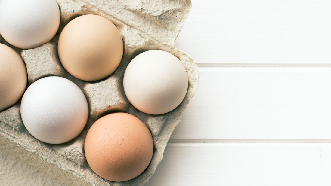 The Choline Chronicles: Why It's Important to Get Enough Choline During Pregnancy