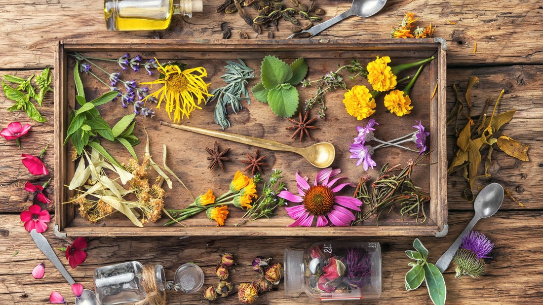 11 Herbs to Know: Your Quick Guide to Pregnancy-Safe Herbs