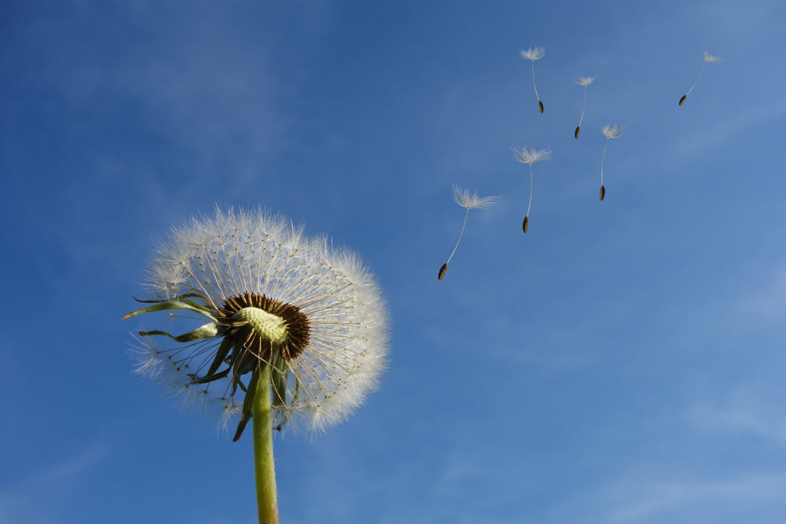 3 Ways Your Health Care Provider Uses Fertility to Understand Your Overall Health