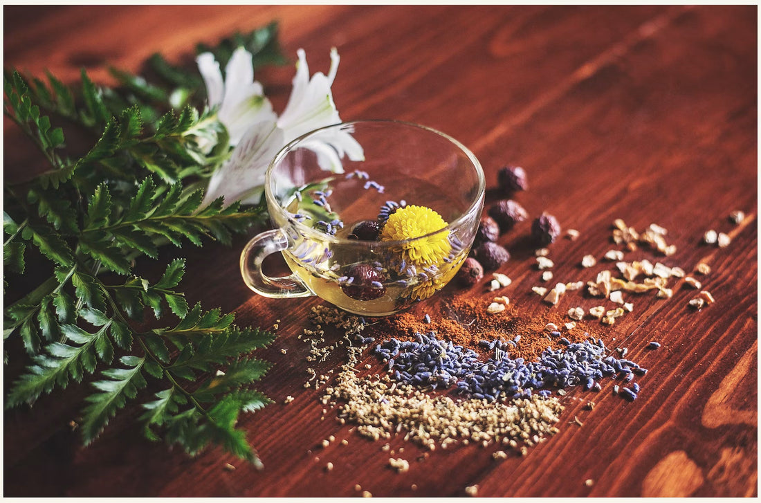 11 Herbs to Know: Your Quick Guide to Pregnancy-Safe Herbs