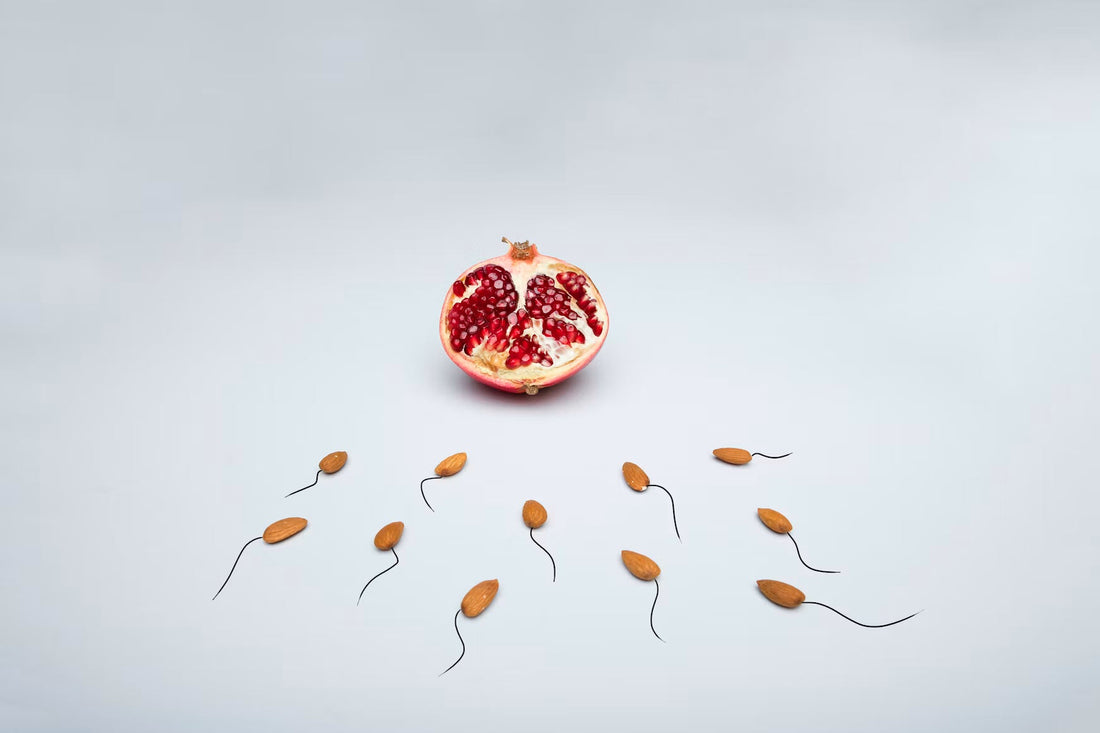 Understanding the Fertility Spectrum