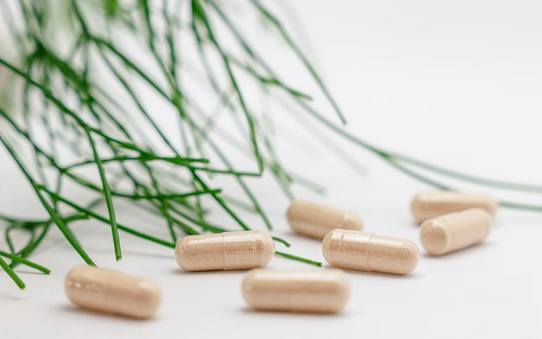 Probiotics for Women